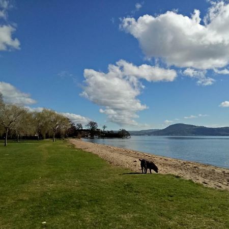 Great View Near Rotorua Lake Екстер'єр фото