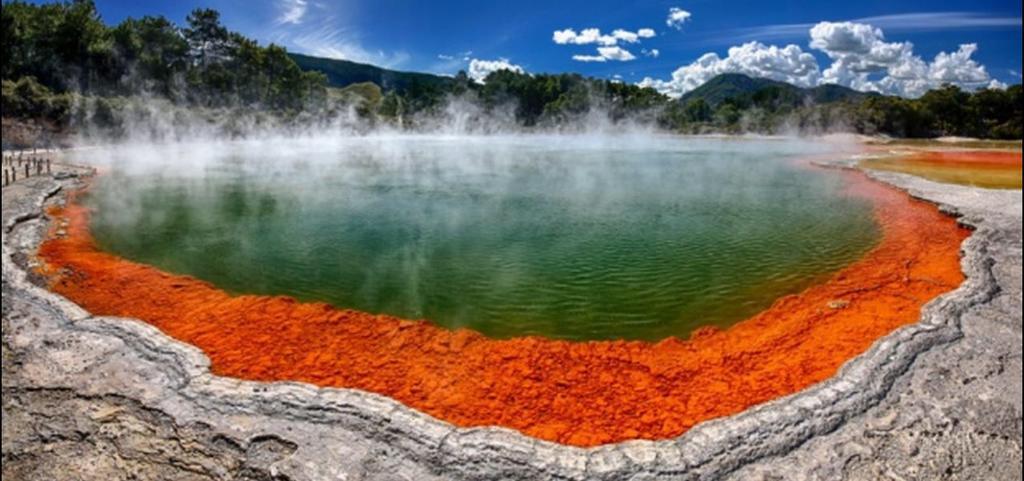 Great View Near Rotorua Lake Екстер'єр фото